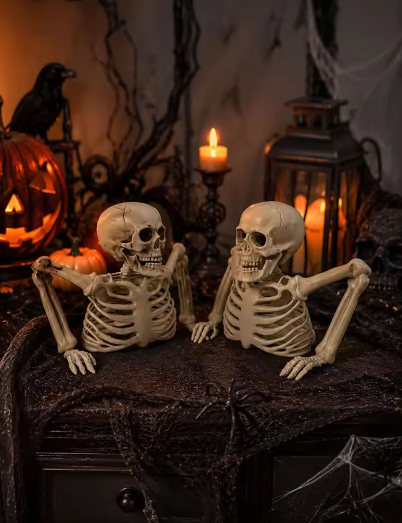 Halloween Half Skelet Feest, A - Spider Web Halloween Decoration recensie en prijs